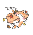 仲良しふんわりにゃんこスタンプ（個別スタンプ：40）