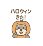 ハロウィン仮装シュナの便利連絡セット（個別スタンプ：1）
