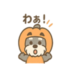 ハロウィン仮装シュナの便利連絡セット（個別スタンプ：3）
