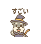 ハロウィン仮装シュナの便利連絡セット（個別スタンプ：4）