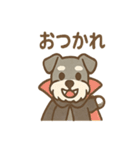 ハロウィン仮装シュナの便利連絡セット（個別スタンプ：15）