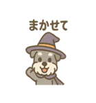ハロウィン仮装シュナの便利連絡セット（個別スタンプ：19）