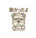 ハロウィン仮装シュナの便利連絡セット（個別スタンプ：31）