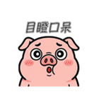 びっくりブタ：マジで？！（個別スタンプ：13）