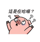 びっくりブタ：マジで？！（個別スタンプ：20）