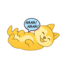 今日のしば犬ちゃん（個別スタンプ：3）