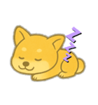 今日のしば犬ちゃん（個別スタンプ：8）