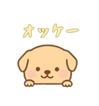 [オッケー専用]のぞく犬（個別スタンプ：1）