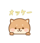 [オッケー専用]のぞく犬（個別スタンプ：3）
