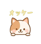 [オッケー専用]のぞく犬（個別スタンプ：4）