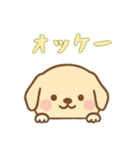 [オッケー専用]のぞく犬（個別スタンプ：8）
