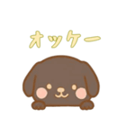 [オッケー専用]のぞく犬（個別スタンプ：9）