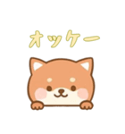 [オッケー専用]のぞく犬（個別スタンプ：10）