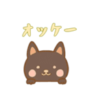 [オッケー専用]のぞく犬（個別スタンプ：11）