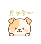 [オッケー専用]のぞく犬（個別スタンプ：14）