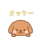 [オッケー専用]のぞく犬（個別スタンプ：15）