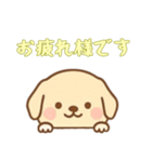 [お疲れ様です専用]のぞく犬（個別スタンプ：1）