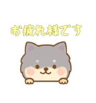 [お疲れ様です専用]のぞく犬（個別スタンプ：3）