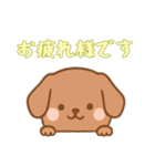 [お疲れ様です専用]のぞく犬（個別スタンプ：4）