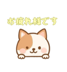 [お疲れ様です専用]のぞく犬（個別スタンプ：5）