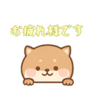 [お疲れ様です専用]のぞく犬（個別スタンプ：6）