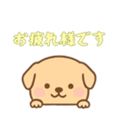 [お疲れ様です専用]のぞく犬（個別スタンプ：8）