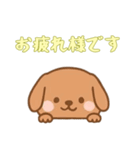 [お疲れ様です専用]のぞく犬（個別スタンプ：10）
