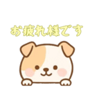 [お疲れ様です専用]のぞく犬（個別スタンプ：11）