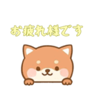 [お疲れ様です専用]のぞく犬（個別スタンプ：15）