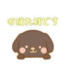 [お疲れ様です専用]のぞく犬（個別スタンプ：16）