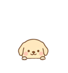 [アレンジ用]のぞく犬（個別スタンプ：1）