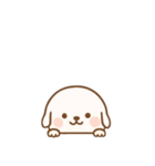 [アレンジ用]のぞく犬（個別スタンプ：2）