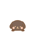 [アレンジ用]のぞく犬（個別スタンプ：3）