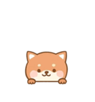 [アレンジ用]のぞく犬（個別スタンプ：4）