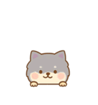 [アレンジ用]のぞく犬（個別スタンプ：6）