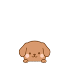 [アレンジ用]のぞく犬（個別スタンプ：8）