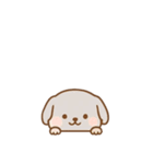 [アレンジ用]のぞく犬（個別スタンプ：10）