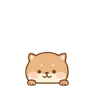 [アレンジ用]のぞく犬（個別スタンプ：11）