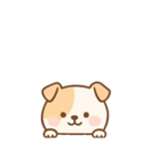 [アレンジ用]のぞく犬（個別スタンプ：12）