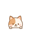 [アレンジ用]のぞく犬（個別スタンプ：16）
