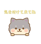 [気を付けて来てね専用]のぞく犬（個別スタンプ：1）