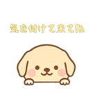 [気を付けて来てね専用]のぞく犬（個別スタンプ：3）