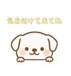 [気を付けて来てね専用]のぞく犬（個別スタンプ：7）