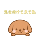 [気を付けて来てね専用]のぞく犬（個別スタンプ：10）
