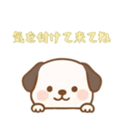[気を付けて来てね専用]のぞく犬（個別スタンプ：11）
