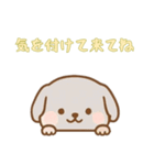 [気を付けて来てね専用]のぞく犬（個別スタンプ：13）