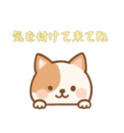 [気を付けて来てね専用]のぞく犬（個別スタンプ：15）