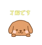 [了解です専用]のぞく犬（個別スタンプ：3）