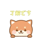 [了解です専用]のぞく犬（個別スタンプ：7）