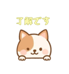 [了解です専用]のぞく犬（個別スタンプ：13）